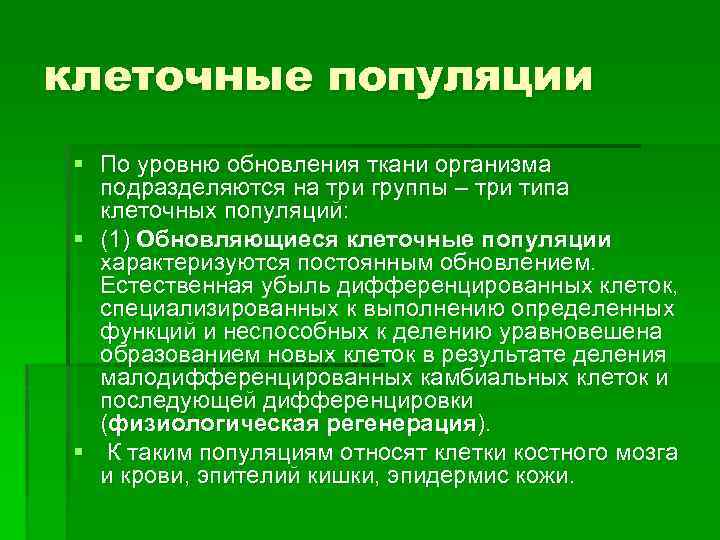 клеточные популяции § По уровню обновления ткани организма подразделяются на три группы – три