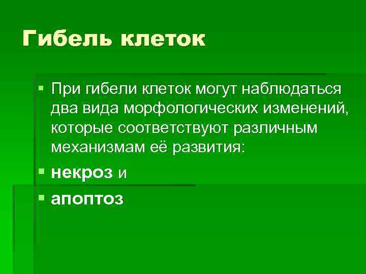 Гибель клеток § При гибели клеток могут наблюдаться два вида морфологических изменений, которые соответствуют