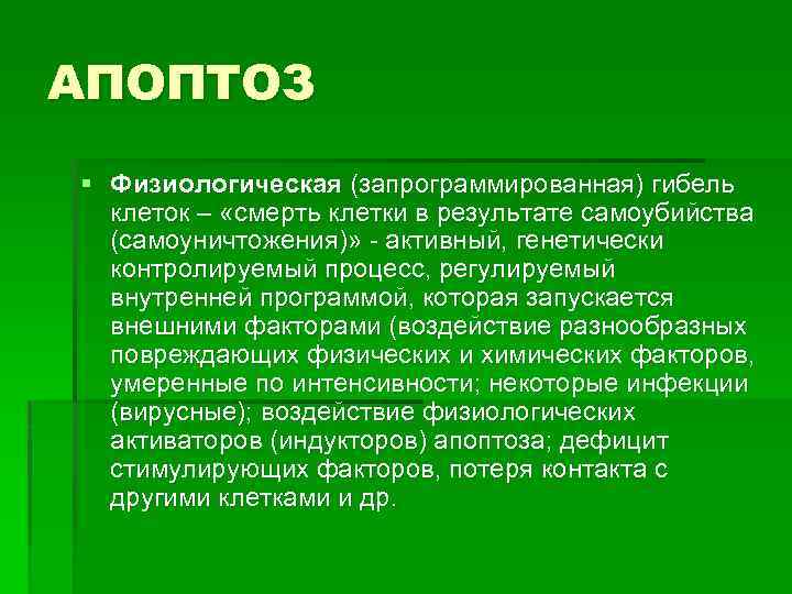 АПОПТОЗ § Физиологическая (запрограммированная) гибель клеток – «смерть клетки в результате самоубийства (самоуничтожения)» -