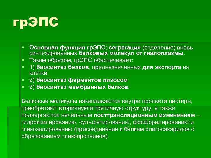 гр. ЭПС § Основная функция гр. ЭПС: сегрегация (отделение) вновь синтезированных белковых молекул от