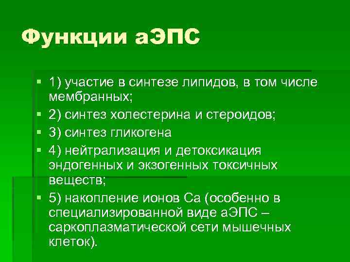 Функции а. ЭПС § 1) участие в синтезе липидов, в том числе мембранных; §