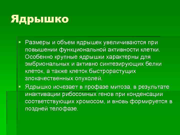 Ядрышко § Размеры и объем ядрышек увеличиваются при повышении функциональной активности клетки. Особенно крупные