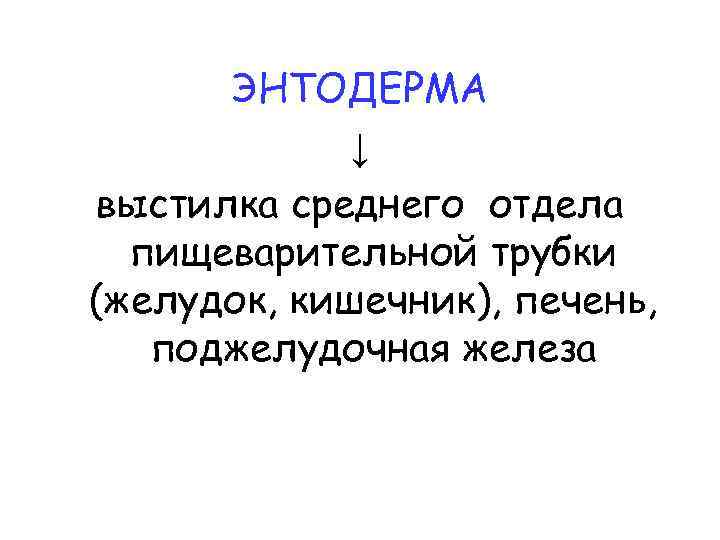 ЭНТОДЕРМА ↓ выстилка среднего отдела пищеварительной трубки (желудок, кишечник), печень, поджелудочная железа 