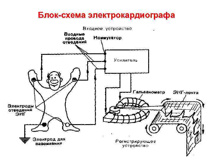 Структурная схема электрокардиографа