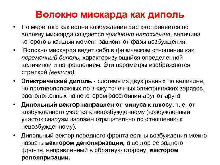 Волокно миокарда как диполь • По мере того как волна возбуждения распространяется по волокну