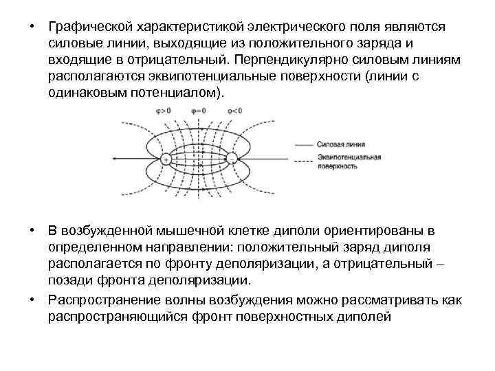 Одинаковый потенциал. Графическая характеристика электростатического поля. Характеристика силовых линий. Графическое представление электростатического поля. Характеристики силовых линий электрического поля.