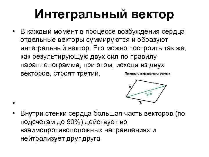 Интегральный вектор • В каждый момент в процессе возбуждения сердца отдельные векторы суммируются и