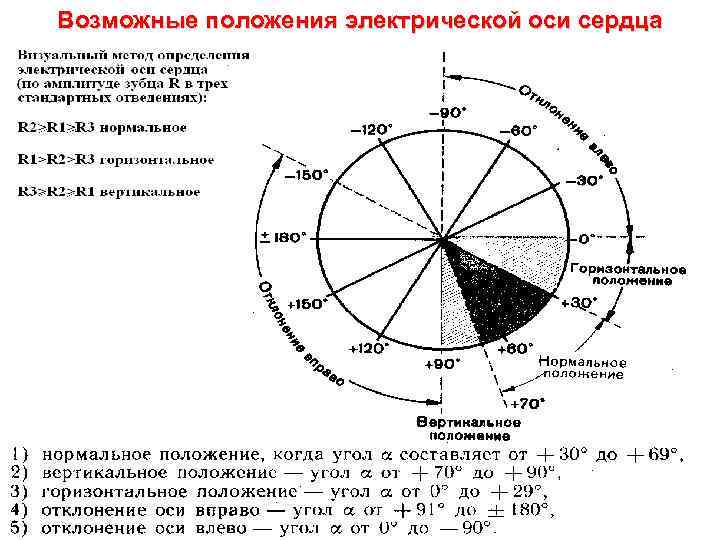 Эос кф. Нормальное положение ЭОС угол Альфа. Угол Альфа равен 5. положение ЭОС. При нормальном положении ЭОС угол Альфа равен. Неопределенное положение электрической оси сердца.