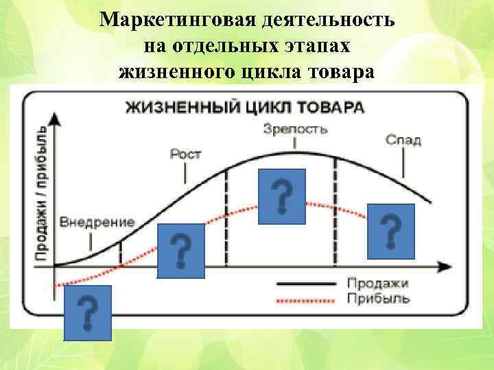 Маркетинговая деятельность на отдельных этапах жизненного цикла товара 