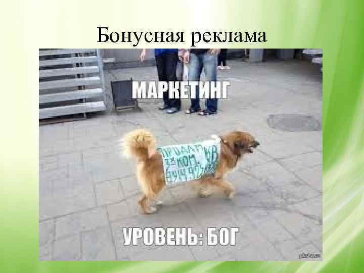 Бонусная реклама 