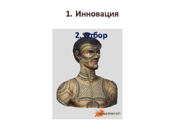 1. Инновация 2. Отбор 