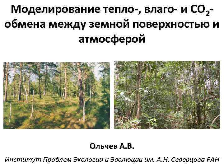 Моделирование тепло-, влаго- и СО 2 обмена между земной поверхностью и атмосферой Ольчев А.