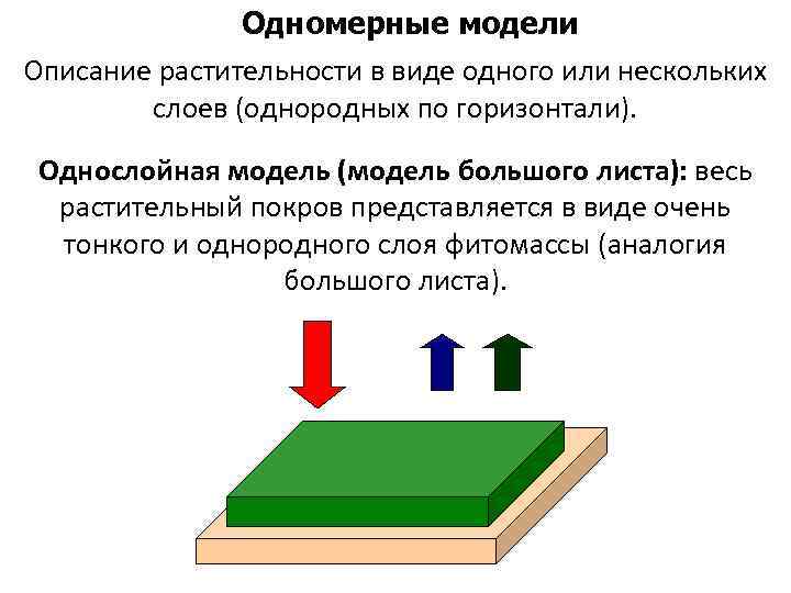 Одномерные модели Описание растительности в виде одного или нескольких слоев (однородных по горизонтали). Однослойная