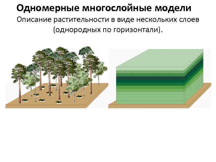 Одномерные многослойные модели Описание растительности в виде нескольких слоев (однородных по горизонтали). 