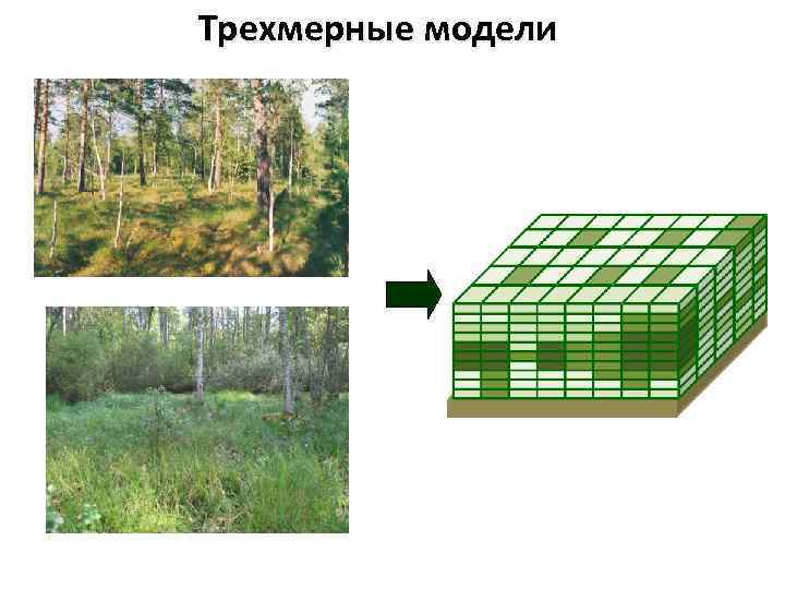 Трехмерные модели 