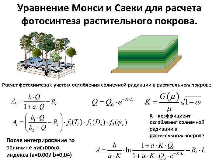 Уравнение Монси и Саеки для расчета фотосинтеза растительного покрова. Расчет фотосинтеза с учетом ослабления