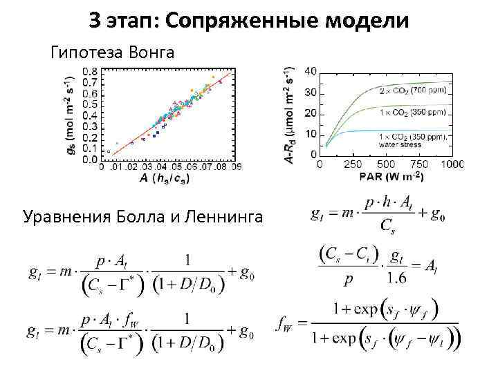 3 этап: Сопряженные модели Гипотеза Вонга Уравнения Болла и Леннинга 