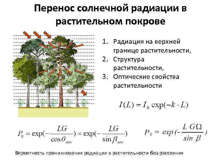 Перенос солнечной радиации в растительном покрове 1. Радиация на верхней границе растительности, 2. Структура