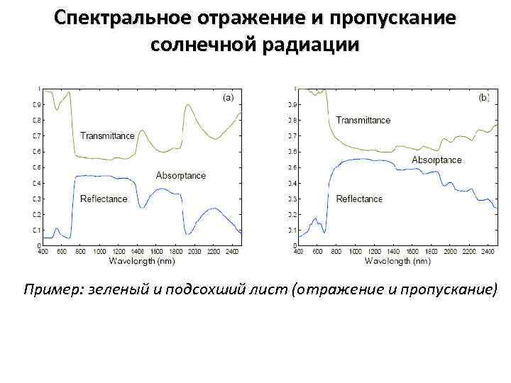 Спектральное отражение и пропускание солнечной радиации Пример: зеленый и подсохший лист (отражение и пропускание)