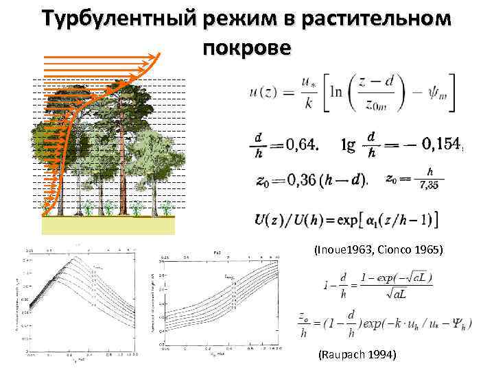 Турбулентный режим в растительном покрове (Inoue 1963, Cionco 1965) (Raupach 1994) 