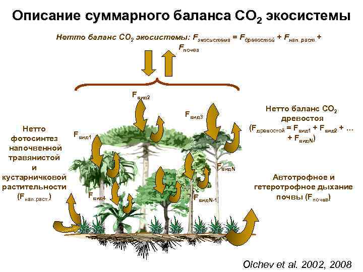 Описание суммарного баланса СО 2 экосистемы Нетто баланс CO 2 экосистемы: Fэкосистема = Fдревостой