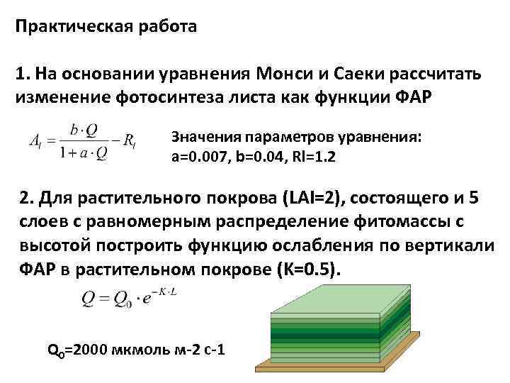 Практическая работа 1. На основании уравнения Монси и Саеки рассчитать изменение фотосинтеза листа как