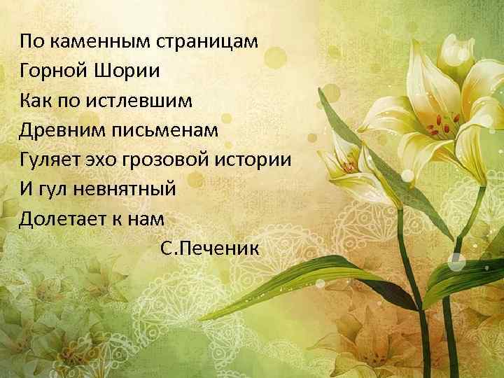 По каменным страницам Горной Шории Как по истлевшим Древним письменам Гуляет эхо грозовой истории