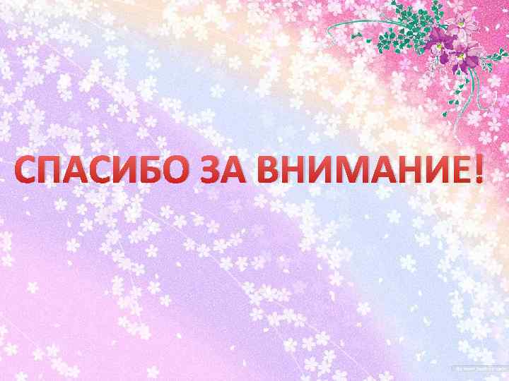 СПАСИБО ЗА ВНИМАНИЕ! 