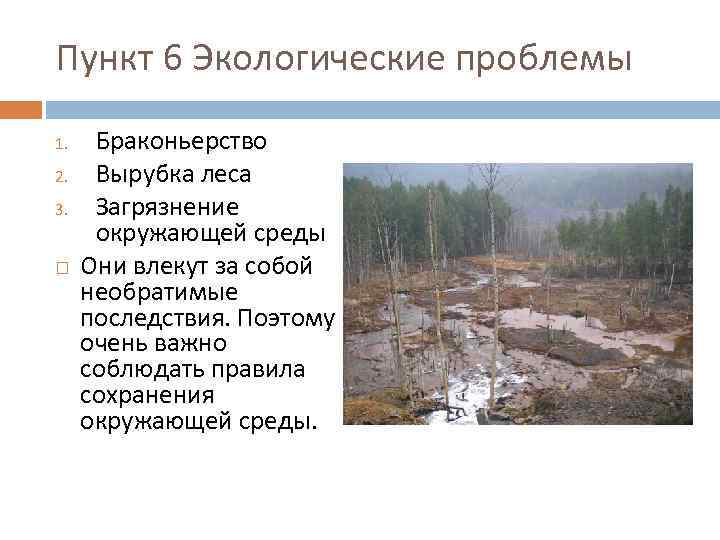 Пункт 6 Экологические проблемы 1. 2. 3. Браконьерство Вырубка леса Загрязнение окружающей среды Они