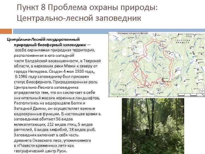 Пункт 8 Проблема охраны природы: Центрально-лесной заповедник Центра льно-Лесно й государственный природный биосферный заповедник