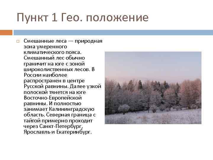 Умеренное положение. Положение зоны смешанных лесов. Смешанные леса климатический пояс. Географическое положение смешанных лесов умеренного пояса. Положение в России смешанных лесов.