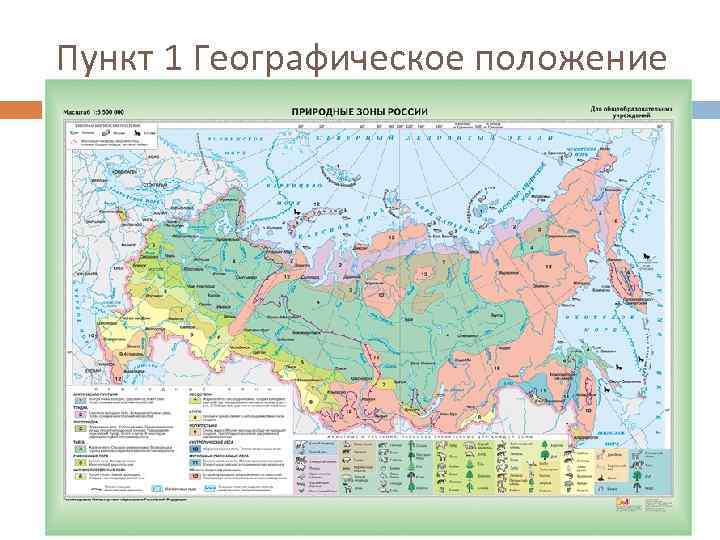Пункт 1 Географическое положение 
