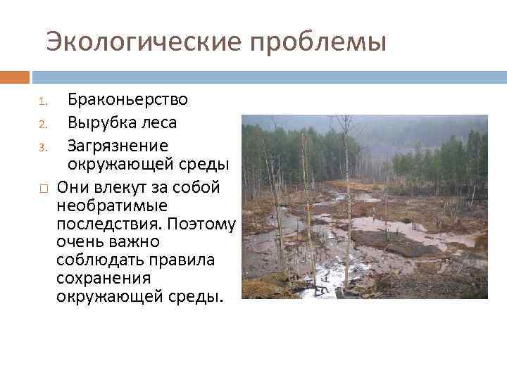  Экологические проблемы 1. 2. 3. Браконьерство Вырубка леса Загрязнение окружающей среды Они влекут