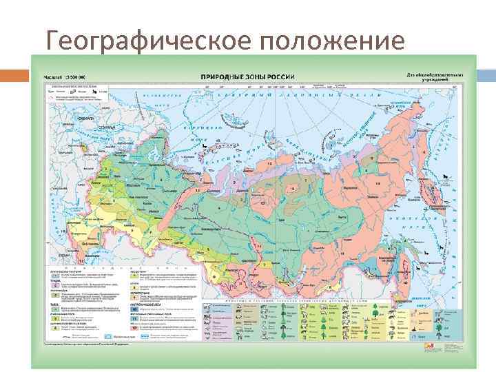  Географическое положение 