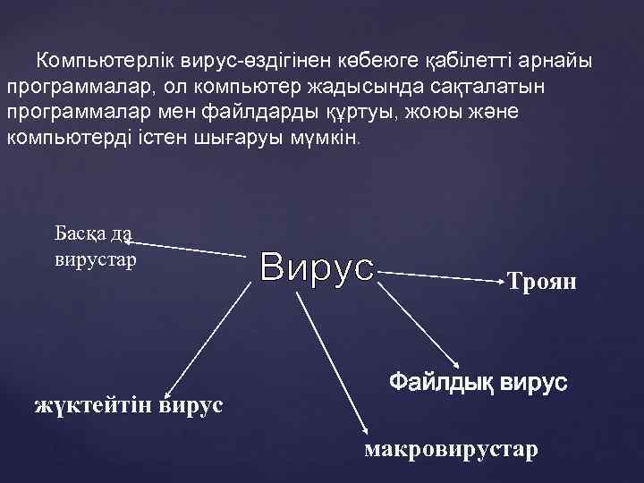 Компьютерлік вирус-өздігінен көбеюге қабілетті арнайы программалар, ол компьютер жадысында сақталатын программалар мен файлдарды құртуы,