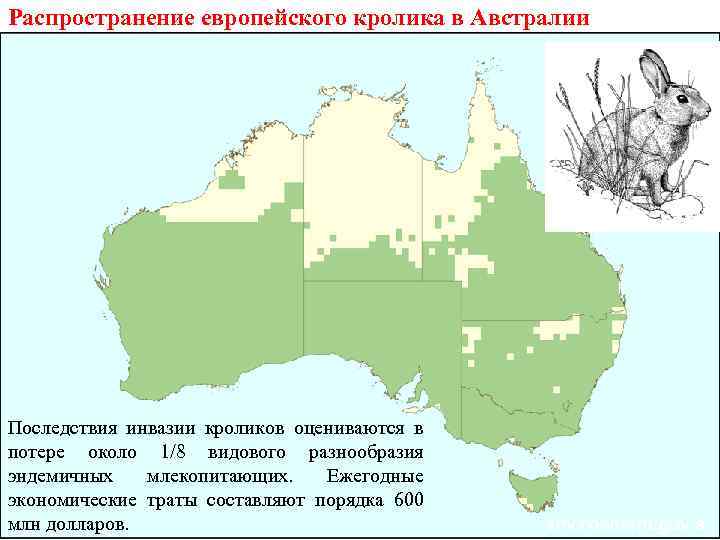 Карта забора в австралии