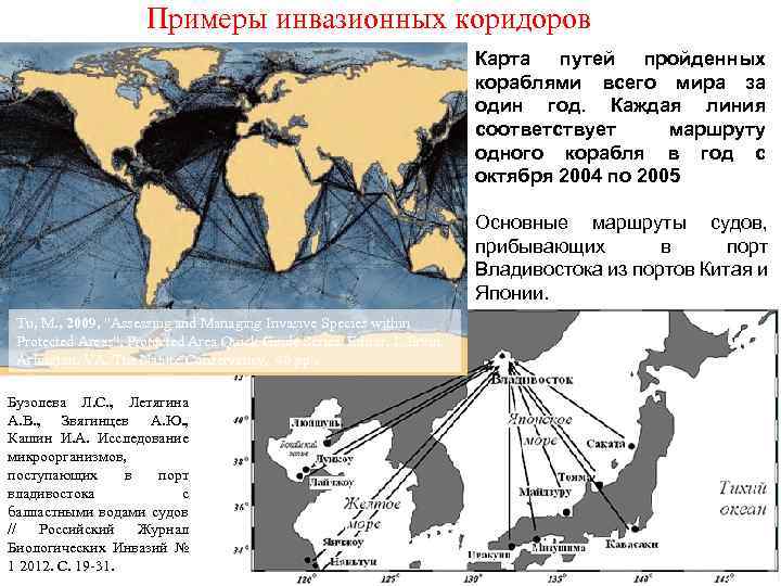 Примеры инвазионных коридоров Карта путей пройденных кораблями всего мира за один год. Каждая линия