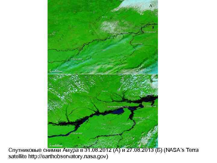 Спутниковые снимки Амура в 31. 08. 2012 (A) и 27. 08. 2013 (Б) (NASA’s