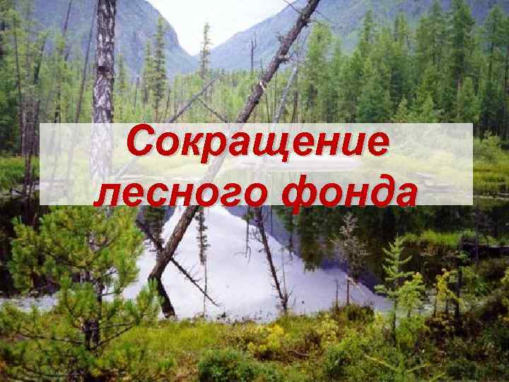Сокращение лесного фонда 