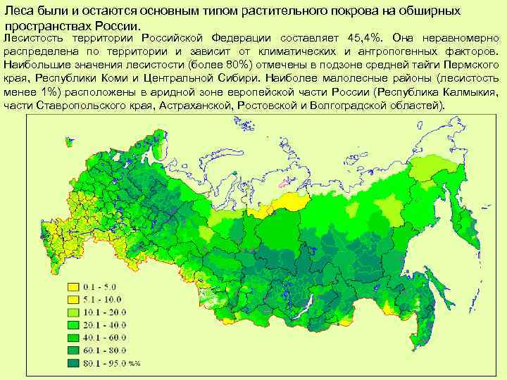 Карта лесистости мира