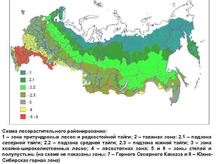 Схема лесорастительного районирования: 1 – зона притундровых лесов и редкостойной тайги; 2 – таежная