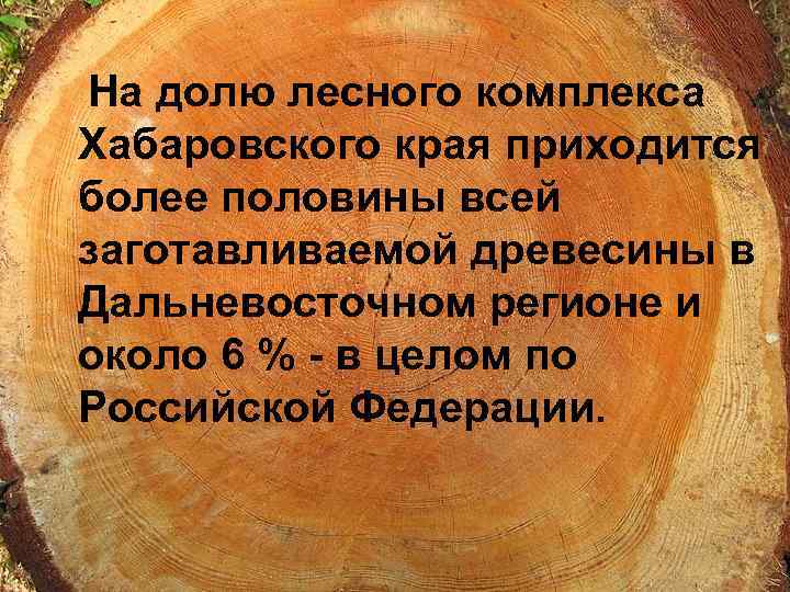  На долю лесного комплекса Хабаровского края приходится более половины всей заготавливаемой древесины в