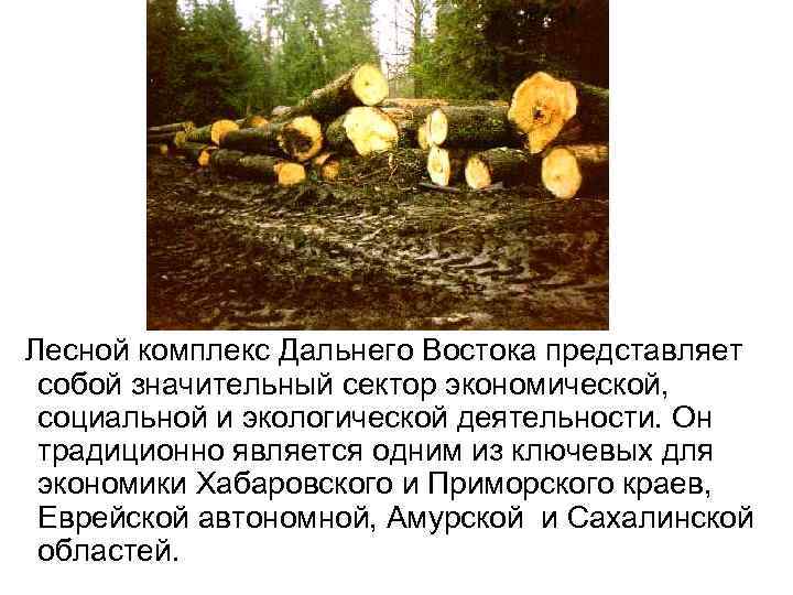  Лесной комплекс Дальнего Востока представляет собой значительный сектор экономической, социальной и экологической деятельности.