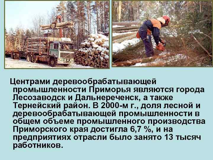  Центрами деревообрабатывающей промышленности Приморья являются города Лесозаводск и Дальнереченск, а также Тернейский район.