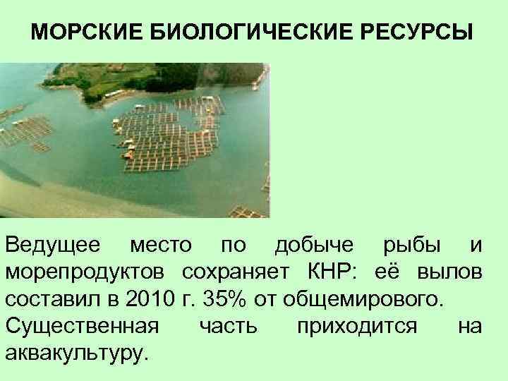 МОРСКИЕ БИОЛОГИЧЕСКИЕ РЕСУРСЫ Ведущее место по добыче рыбы и морепродуктов сохраняет КНР: её вылов
