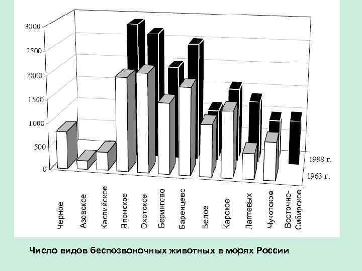 Число видов беспозвоночных животных в морях России 