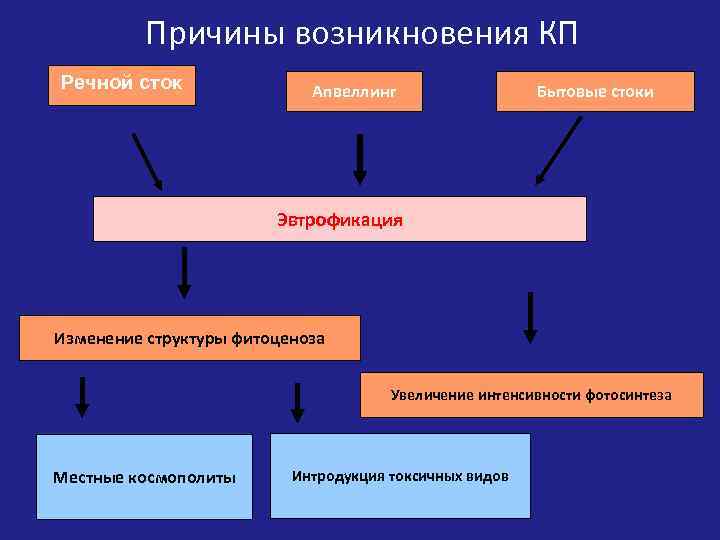 Причины возникновения КП Речной сток Апвеллинг Бытовые стоки Эвтрофикация Изменение структуры фитоценоза Увеличение интенсивности