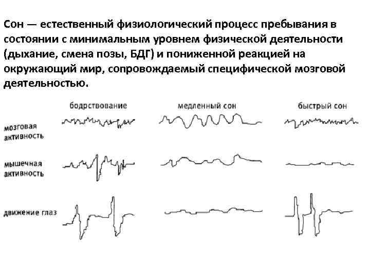 Сон — естественный физиологический процесс пребывания в состоянии с минимальным уровнем физической деятельности (дыхание,