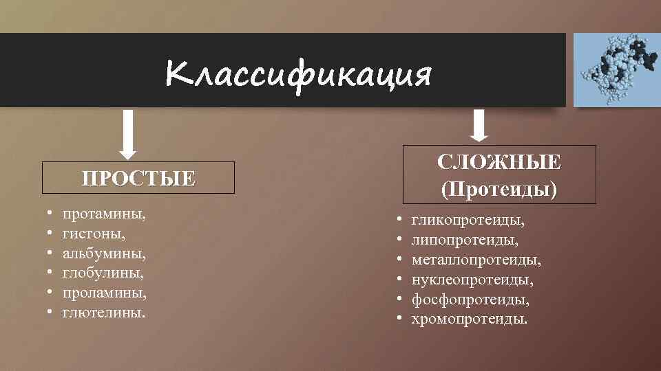 Классификация СЛОЖНЫЕ (Протеиды) ПРОСТЫЕ • • • протамины, гистоны, альбумины, глобулины, проламины, глютелины. •