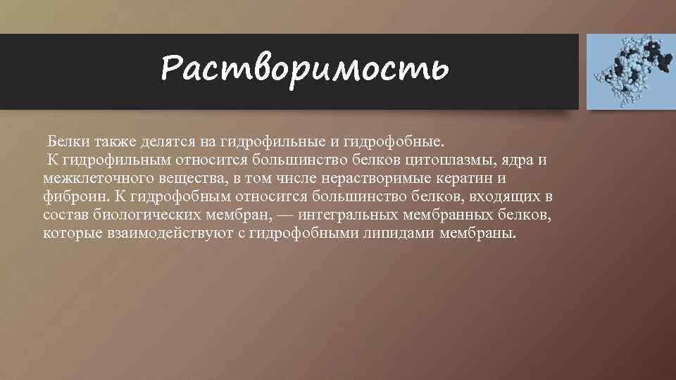 Растворимость Белки также делятся на гидрофильные и гидрофобные. К гидрофильным относится большинство белков цитоплазмы,